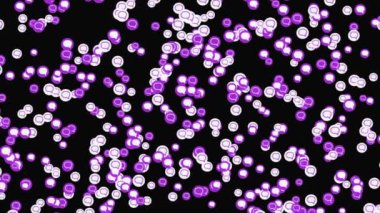 Siyah arkaplanda izole edilmiş beyaz ve mor renkli mesaj bulutlarının soyut işaretleri. Animasyon. Çevrimiçi iletişim kavramı.