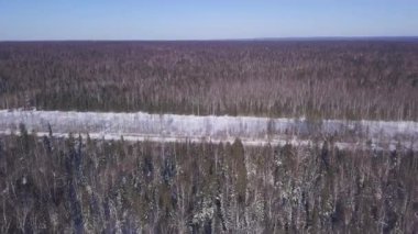 Kışın raylı ormanın en üst manzarası. Şarjör. Sonsuz çam ormanı kış günü otoyol boyunca kesintiye uğradı. Kış ormanı ufuk çizgisine uzanan manzara ve güneşli bir günde kar yolu.