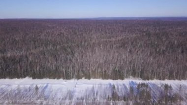Kışın raylı ormanın en üst manzarası. Şarjör. Sonsuz çam ormanı kış günü otoyol boyunca kesintiye uğradı. Kış ormanı ufuk çizgisine uzanan manzara ve güneşli bir günde kar yolu.