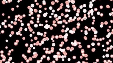 Aşk kalpleri siyah arka planda kalır, ilişkiler ve romantizm kavramı. Animasyon. Kırmızı ve beyaz Sevgililer Günü sembolleri.