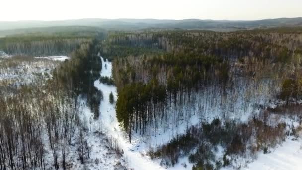 Aerial flight above Canadian winter wilderness landscape with mixed forest. Action. Endless coniferous and deciduous wood with snowy ground. — Video Stock