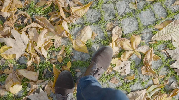 Close-up of feet walking on sidewalk with yellow leaves. Action. Top view of legs of man walking on autumn trail. Man walks along road with fallen yellow leaves