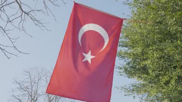 ISTANBUL, TURKEY - MARCH, 2021: Zászló Törökország repül a háttérben mecset. Felvétel. Vörös török zászló lóg a háttérben a zöld fa és a fehér mecset — Stock videók