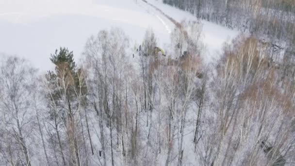 Letecký pohled na zasněžené pole vedle lesa se vzácně rostoucími stromy. Klip. Lidé na hřišti během zimních sportů. — Stock video