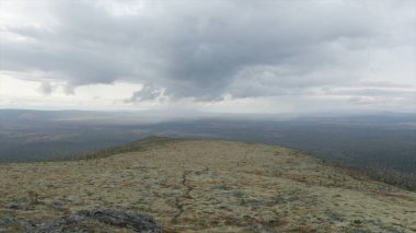 Yeşil tepenin üstünde el ele tutuşarak dört yürüyüşçünün üzerinde uçmak. Şarjör. Orman vadisinin önündeki bir dağın tepesindeki turistlerin hava manzarası ve bulutlu gökyüzü.