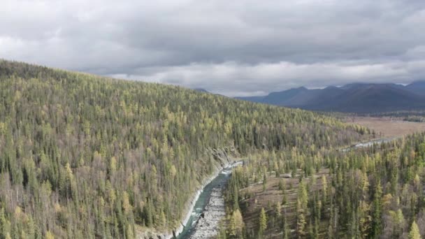Vista aérea de drones de la cordillera y árboles verdes que crecen en las laderas de las montañas. Clip. Fondo natural panorámico con un río y bosque de coníferas. — Vídeos de Stock