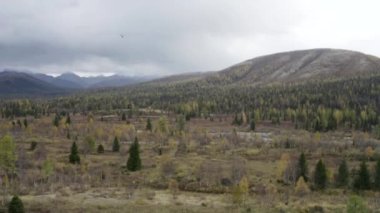 Nadir ağaçlarla kaplı Alplerdeki yeşil parkın havadan görünüşü. Şarjör. Bulutlu gökyüzü ve dağ arkaplanı üzerinde tenha bir yer.