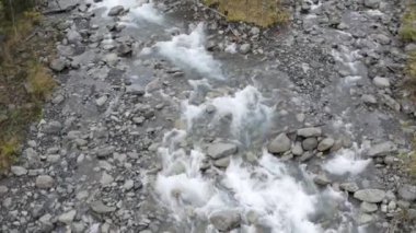 Sonbahar yeşili ve sarı ağaçlarla çevrili temiz ve taze bir dağ nehri manzarası. Şarjör. Tayga ormanlarının doğal manzarası, Rusya.