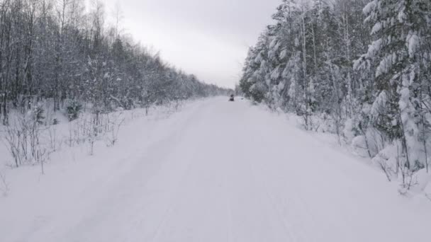 冬季雪地的道路穿过针叶林.剪断。人们骑着雪地摩托，陷入了一种滑溜的，极端的情绪中. — 图库视频影像