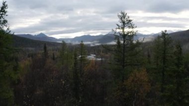 Arka planda bir vadiyle çam ağacı ormanı boyunca uçuyor. Şarjör. Dağ sırası, sonbahar manzarasında su akıntısı, Kamçatka, Rusya.
