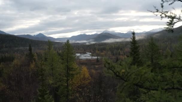 Voler le long d'une forêt de pins avec une vallée en arrière-plan. Clip. Chaîne de montagnes, ruisseau dans le paysage d'automne, Kamchatka, Russie. — Video