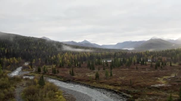 Vista aérea del bosque de abetos verdes y el río frío y limpio con rocas y cielo nublado en el fondo. Clip. Reserva natural nacional, belleza del planeta Tierra. — Vídeo de stock