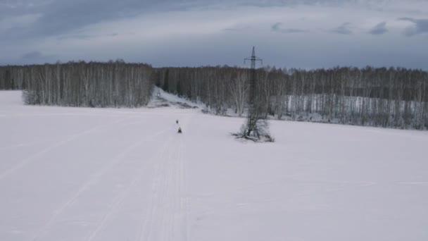 Snowbike pilota in movimento verso la foresta invernale su sfondo cielo nuvoloso blu. Clip. Motoslitta sport invernali equitazione in una giornata di sole, concetto di estremo. — Video Stock