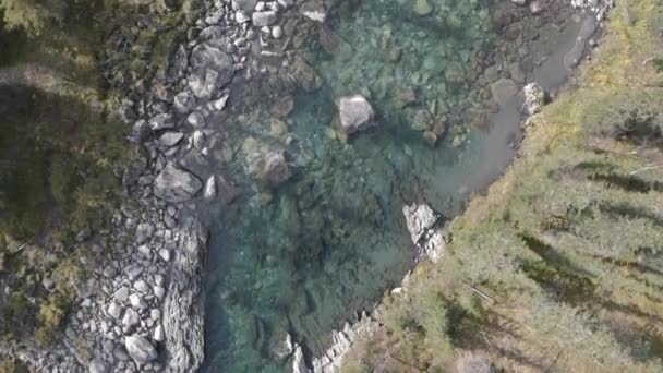 Luftaufnahme eines blauen kalten Flusses, der durch sommergrüne Wälder und Steine fließt. Clip. Naturlandschaft mit steinernen Gebirgsbächen und Bäumen. — Stockvideo