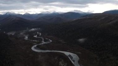 Sonbahar Alpleri 'ndeki sisli, vahşi milli parkın üzerinde uçan vahşi bir MoFlying. Şarjör. Soğuk kıvrımlı bir nehrin ve çam ağaçlarıyla kaplı bataklık arazinin havadan görünüşü. İtalya 'nın Alplerinde Yazın Nehir
