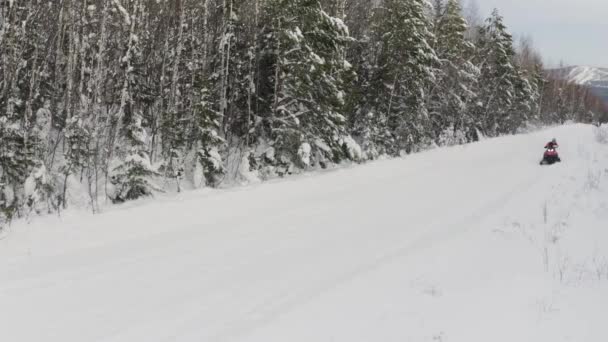 Pemandangan bersalju musim dingin dengan jalan dan mobil salju di sepanjang hutan pohon cemara. Jepit. Konsep kegiatan olahraga musim dingin dan gaya hidup aktif. — Stok Video