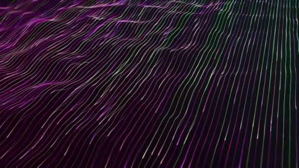 Flux lumineux lignes au néon sur fond noir, concept de fibre et de communication. Animation. Ondes étroites violettes et vertes. — Video
