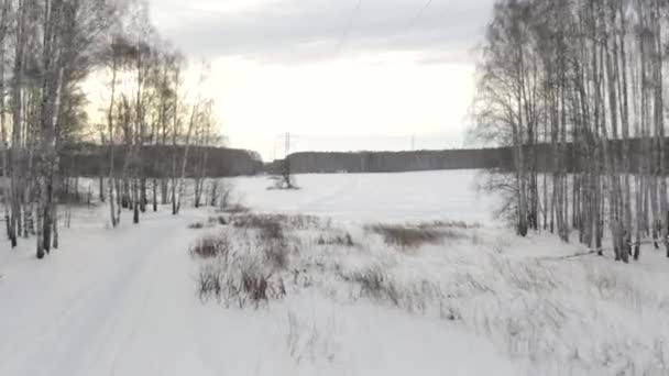 Vista aérea de una torre de transmisión de alto voltaje en el campo cubierto de nieve con árboles en un día de invierno. Clip. Campo blanco con rastros de motos de nieve sobre fondo forestal. — Vídeos de Stock