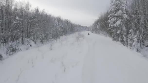 Strada innevata invernale che attraversa la foresta di conifere. Clip. Veduta aerea di seguire un uomo che guida una motoslitta e si ferma, emozioni estreme. — Video Stock