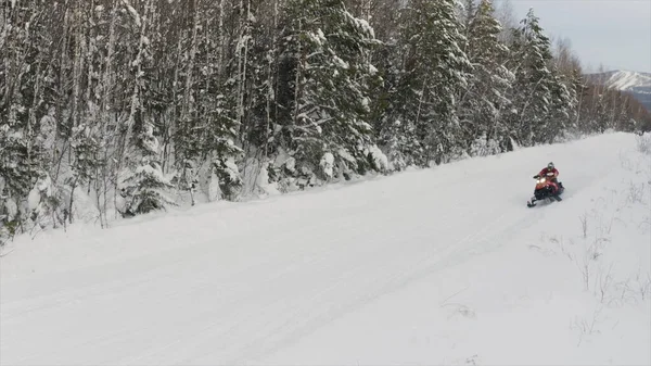 Yol ve kar motosikletli karlı bir arazi çam ağacı ormanı boyunca ilerliyor. Şarjör. Kış sporları ve aktif yaşam tarzı kavramı. — Stok fotoğraf