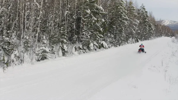 Man rijden sneeuwscooter, bewegen snel in de richting van camera. Een knip. Luchtfoto van een winter besneeuwd dennenbos en lege weg. — Stockfoto