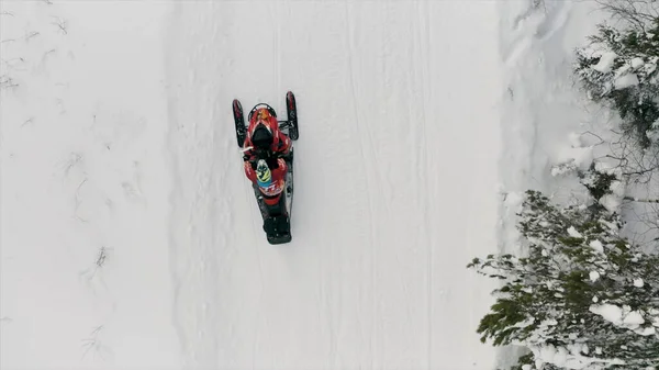 Vista aerea dall'alto della motoslitta rossa nella foresta invernale innevata nella Finlandia rurale, Lapponia. Clip. Concetto di sport estremo e stile di vita attivo. — Foto Stock