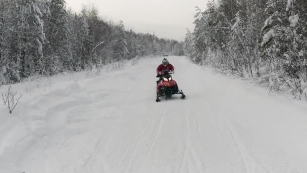 Inverno paisagem nevada com estrada e snowmobile equitação ao longo da floresta de árvores de abeto. Clipe. Conceito de atividades esportivas de inverno e estilo de vida ativo. — Vídeo de Stock