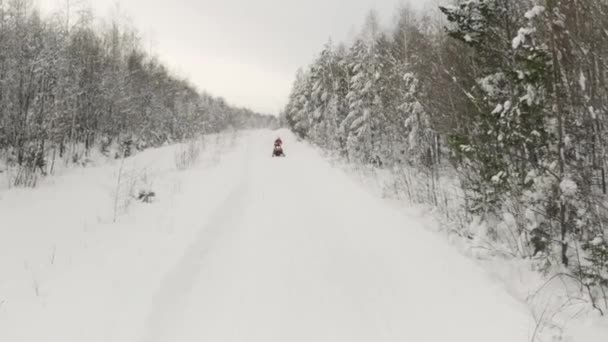 Män på skoter har roligt och rider i vinterlandskapet. Klipp. Flygfoto en man på röd snöskoter rör sig genom snöig tom väg mot kameran. — Stockvideo