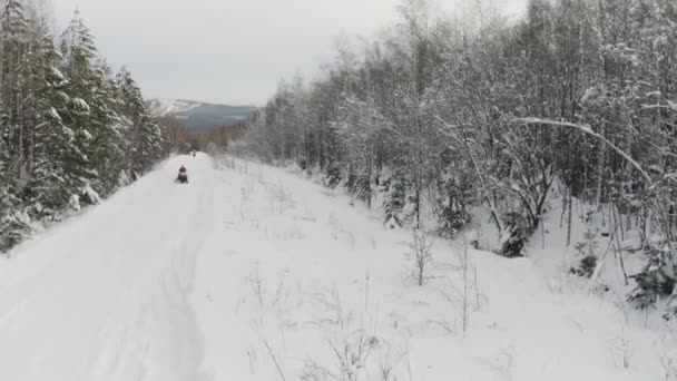 Mann fährt Schneemobil, bewegt sich schnell auf Kamera zu. Clip. Luftaufnahme eines schneebedeckten Kiefernwaldes und einer leeren Straße. — Stockvideo