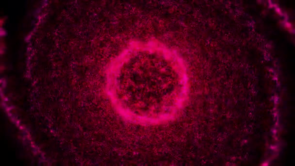 Brillante halo rosa rodeado de nubes de gas en el espacio exterior. Animación. Un anillo que se transforma en espiral giratoria aislada sobre fondo negro. — Vídeos de Stock