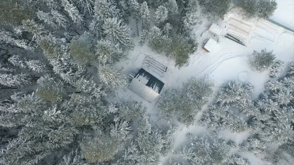 Un antiguo edificio de madera en medio de un bosque nevado, concepto de soledad. Clip. Vista aérea de una pequeña casa rodeada de árboles cubiertos de nieve y tierra blanca. — Foto de Stock