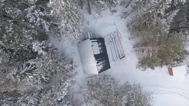 Un antiguo edificio de madera en medio de un bosque nevado, concepto de soledad. Clip. Vista aérea de una pequeña casa rodeada de árboles cubiertos de nieve y tierra blanca. — Vídeos de Stock