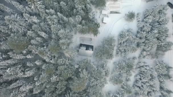 Вид з повітря на прекрасний зимовий пейзаж зі снігом, покритим зеленим лісом і маленьким будинком. Кліп. Укриття для мисливців або туристів, розташованих глибоко в ялинових лісах . — стокове відео