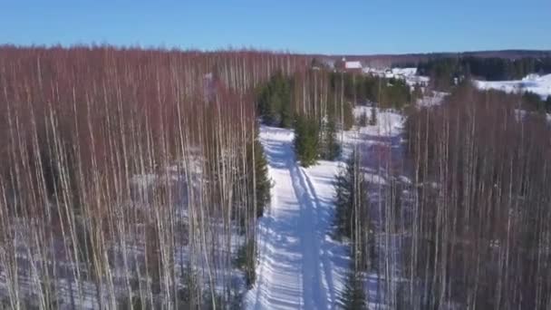 Vista aérea de um amplo caminho coberto de neve entre bosques calvos de bétulas e raros abetos verdes. Clipe. Paisagem natural de inverno de uma estrada vazia, colinas arborizadas e céu azul. — Vídeo de Stock