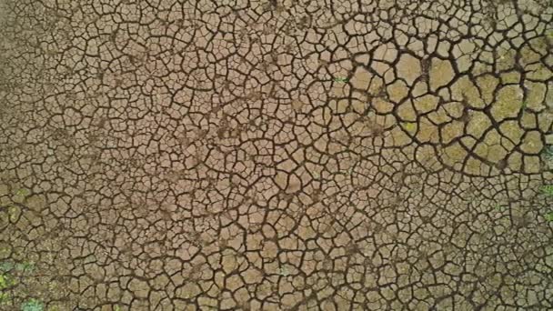 Dünyanın kurak yüzeyinin en üst görüntüsü. Vuruldu. Çamur toprak ve seyrek otlarla ıssız bir arazi. Çatlaklı kuru toprağın desenli yüzeyi — Stok video