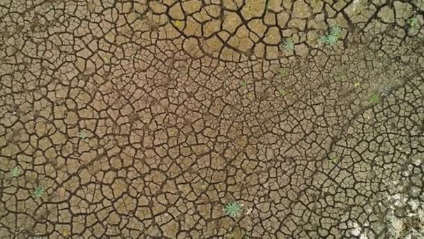 Top view of arid surface of earth. Shot. Arid terrain with clay soil and sparse grasses. Textured surface of dry earth with cracks — Stock Video