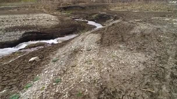 Torkar uppströms. Skjuten. Sprickbildning lera på ytan av marken nära torkning ström. Små floder rinner genom torrt lerområde — Stockvideo