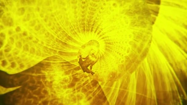 Silhouette di uno yogi in un loto asana sullo sfondo di uno sfondo giallo rotante. Animazione. Concetto di rapporto aureo e conoscenza di sé. — Video Stock