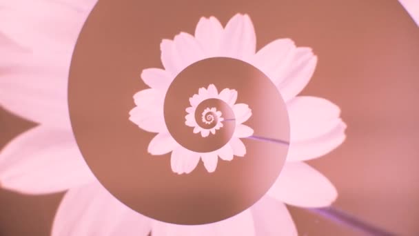 Ontspannen bloemenspiraal. Animatie. Bewegende spiraal van delicate bloemblaadjes. Abstract animatie met bloemenspiraal op gekleurde achtergrond — Stockvideo