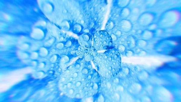 Närbild av en abstrakt vacker vit och blå blomma med vattendroppar. Animering. Roterande blomma knopp, begreppet natur, sömlös loop. — Stockfoto