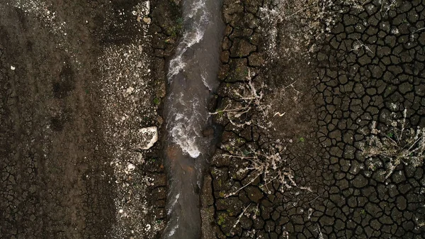 Mengalir diantara batu dan semak-semak kering di kebun botani. Tertembak. Pandangan udara atas sungai cepat mengalir pegunungan mengalir di sepanjang tanah kering. — Stok Foto