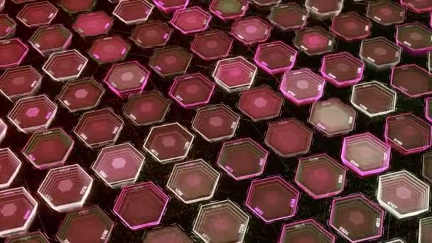 Fondo de hexágono futurista colorido. Animación. Hexagones holográficos 3d pulsan sobre fondo negro. Hermoso fondo de células de ordenador — Vídeos de Stock