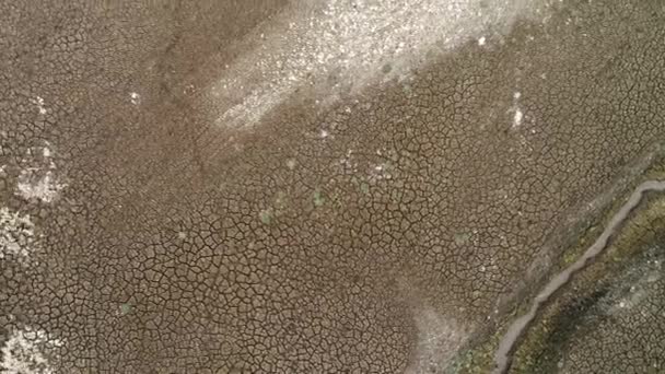 Вид с воздуха на дно высохшего озера, концепцию глобального потепления и климатическую катастрофу. Выстрел. Сухая коричневая почва с глубокими трещинами. — стоковое видео
