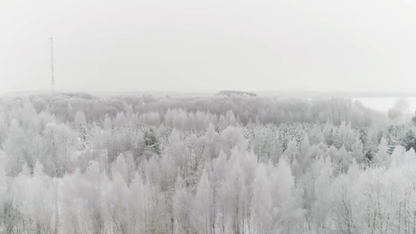 Widok z lotu ptaka pokryty śniegiem piękny las mieszany i poranna mgła zimowa. Scena. Naturalny mroźny krajobraz z zamarzniętymi drzewami na pochmurnym i mglistym tle nieba. — Wideo stockowe