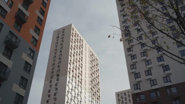 Нижний вид жилого комплекса с красочными и белыми высотными зданиями. Начали. Новые многоэтажные здания на голубом фоне неба и дерево с листьями, машущими на ветру. — стоковое видео