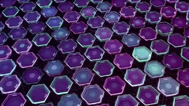 Flying violet and pink blinking hexagons on black background, seamless loop. Animation. Colorful futuristic pattern with geometric shapes. — Stock Video