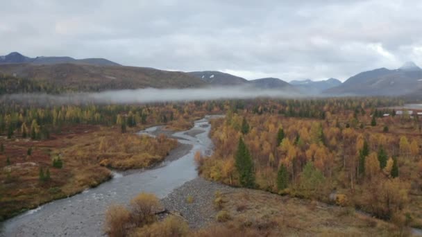 Luftaufnahme eines malerischen Tals mit Herbst bunt wachsenden Bäumen und verdorrtem Gras. Clip. Steiniger Fluss mit niedrigen Wolken und bewaldeten Hügeln im Hintergrund. — Stockvideo