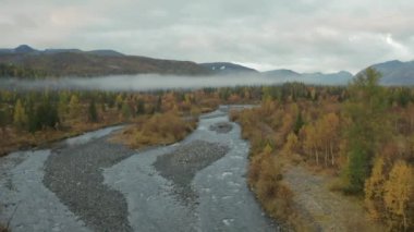 Sonbahar renkli ağaçlar ve kurumuş otlarla dolu pitoresk bir vadinin havadan görünüşü. Şarjör. Alçak bulutlarla akan taşlı nehir ve arka planda ormanlık tepeler..