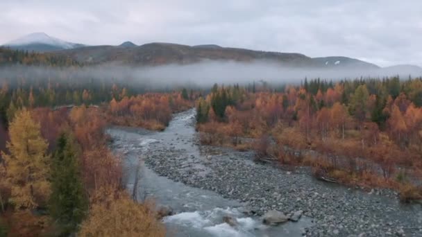 Vista panorámica aérea del bosque brillante mixto de otoño y un río de flexión de montaña. Clip. Pintoresca vista de los árboles y un amplio arroyo con cordillera y niebla sobre los árboles. — Vídeo de stock