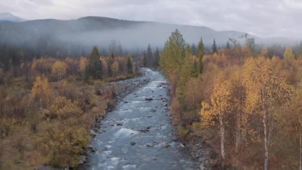 Voando ao longo do rio frio e floresta de outono colorido coberto por nevoeiro e nuvens baixas. Clipe. Paisagem natural com um rio de montanha selvagem e floresta colorida mista. — Vídeo de Stock